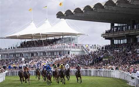 Best Goodwood Betting Offers 2024 .